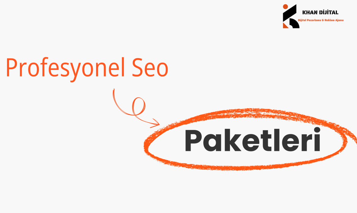 Profesyonel Seo Paketleri