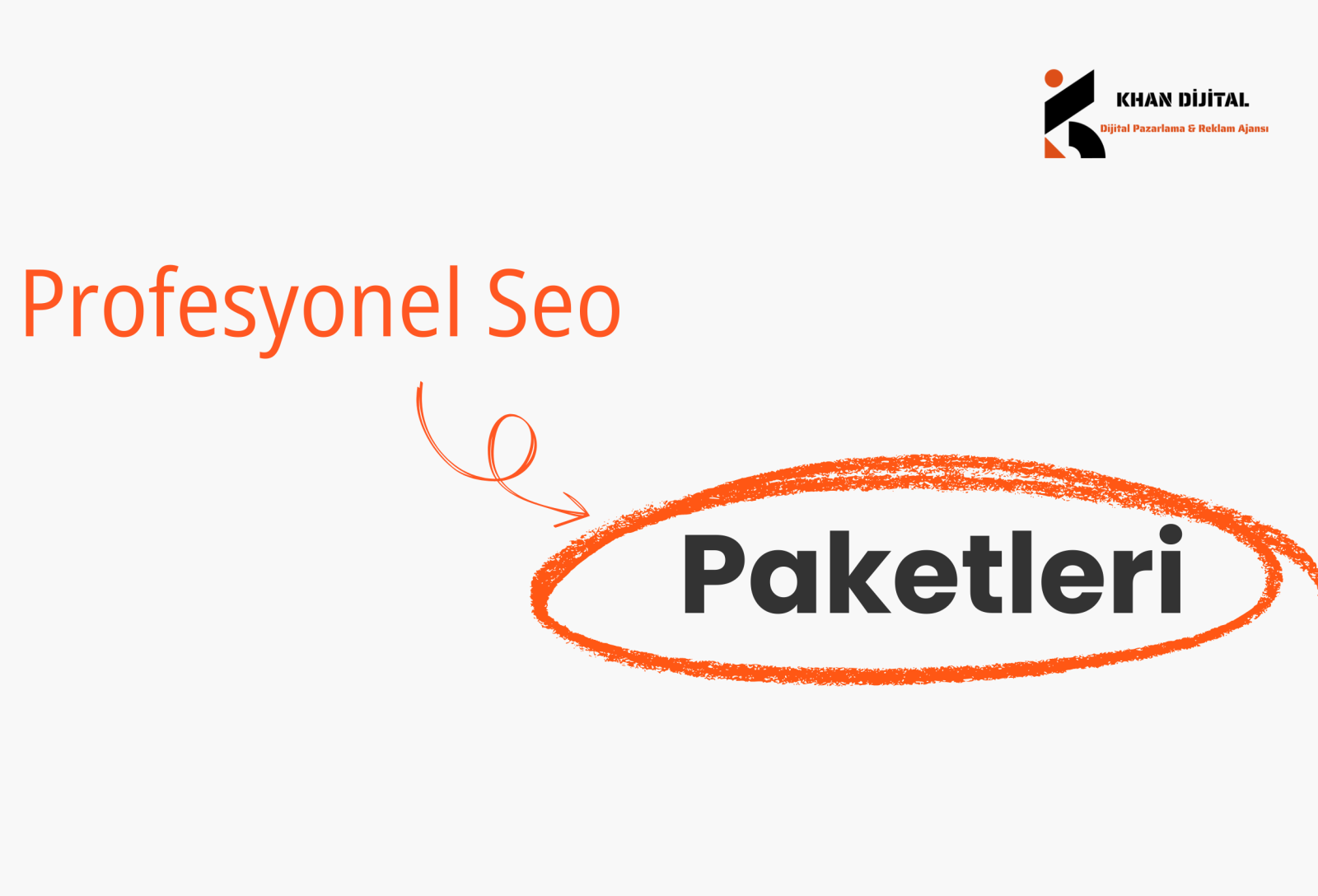 Profesyonel Seo Paketleri